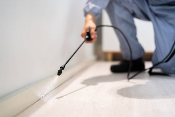 Licensed Pest Control service in Freeman, SD - Show Me Pest Control