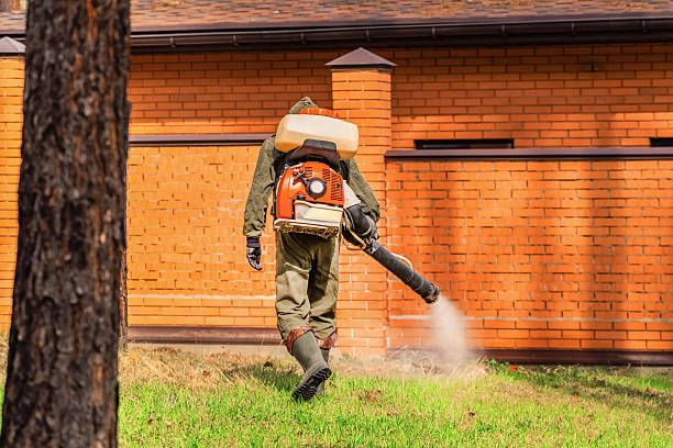 Bed Bug Clearance Verification and Documentation in Freeman